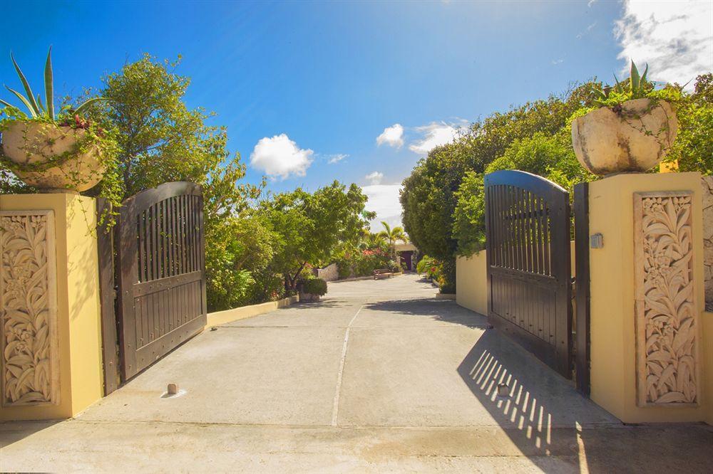 Anguilla'S Bird Of Paradise The Valley Exterior foto