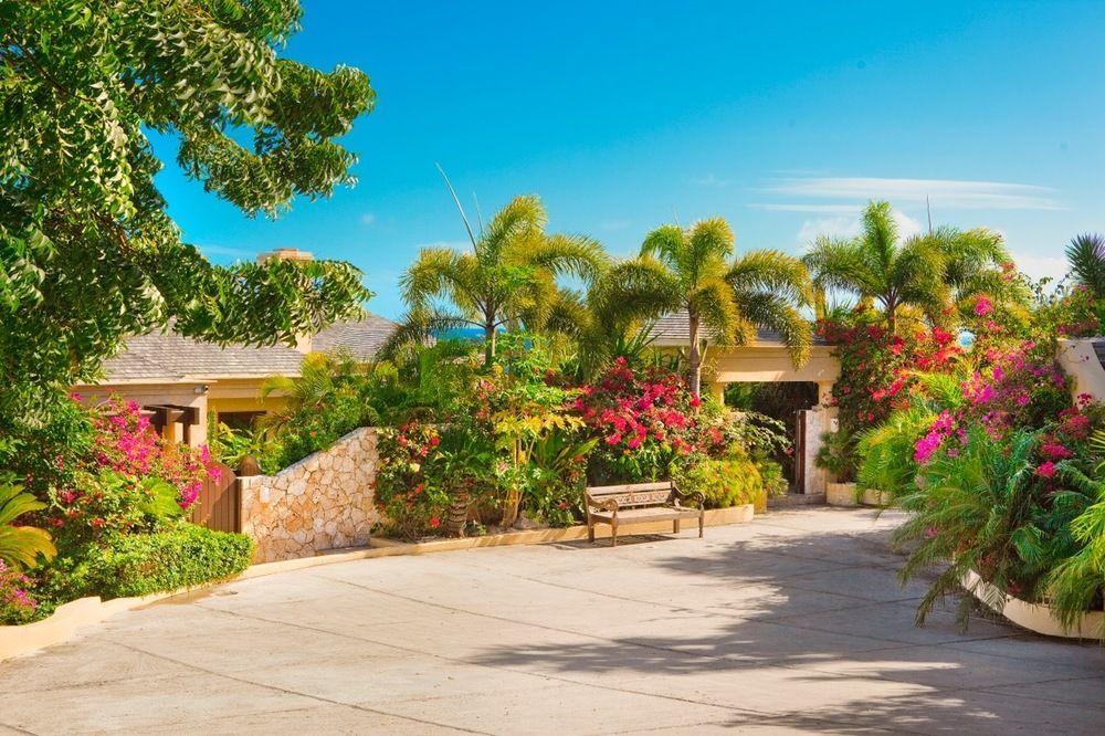 Anguilla'S Bird Of Paradise The Valley Exterior foto