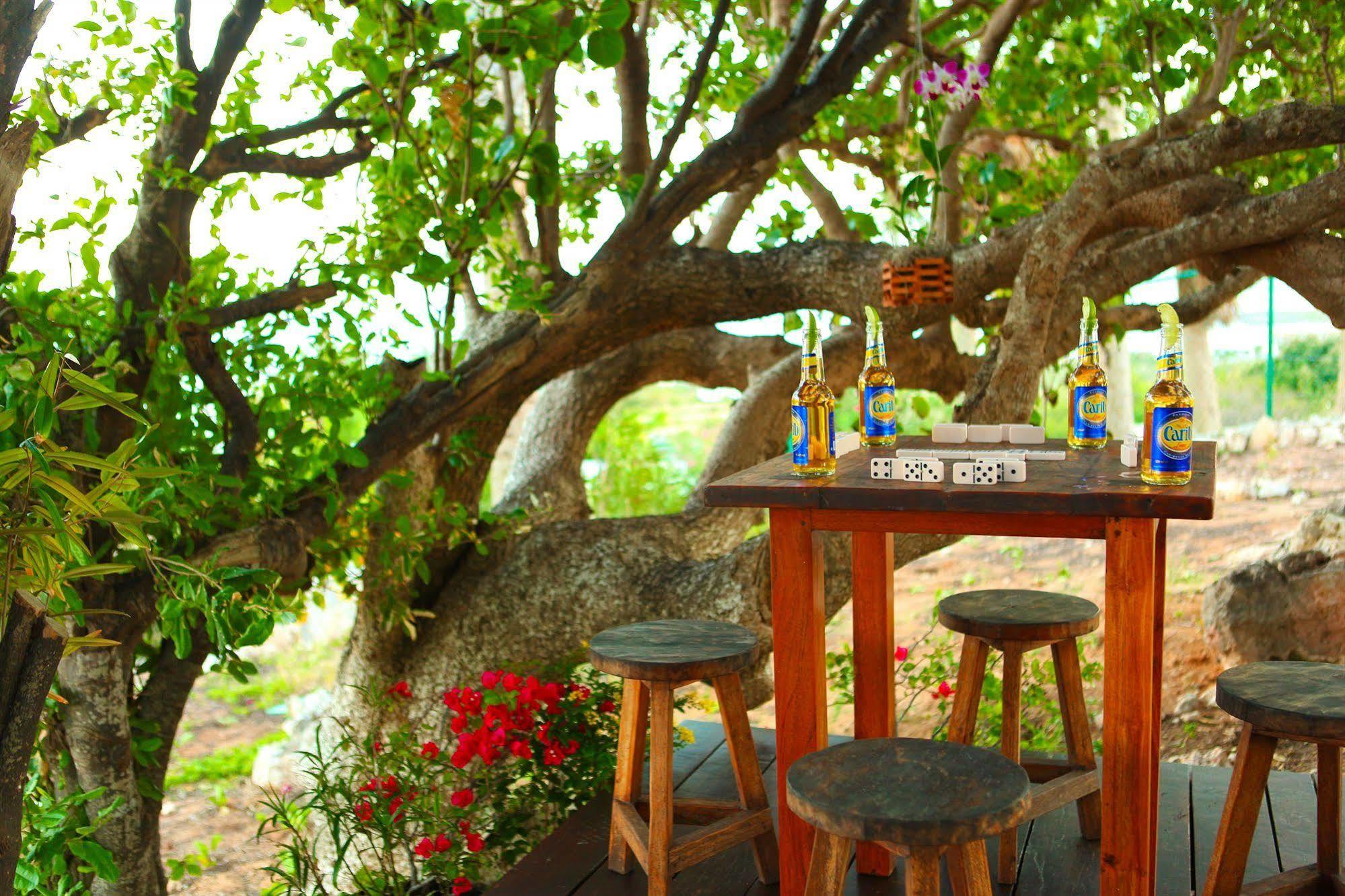 Anguilla'S Bird Of Paradise The Valley Exterior foto